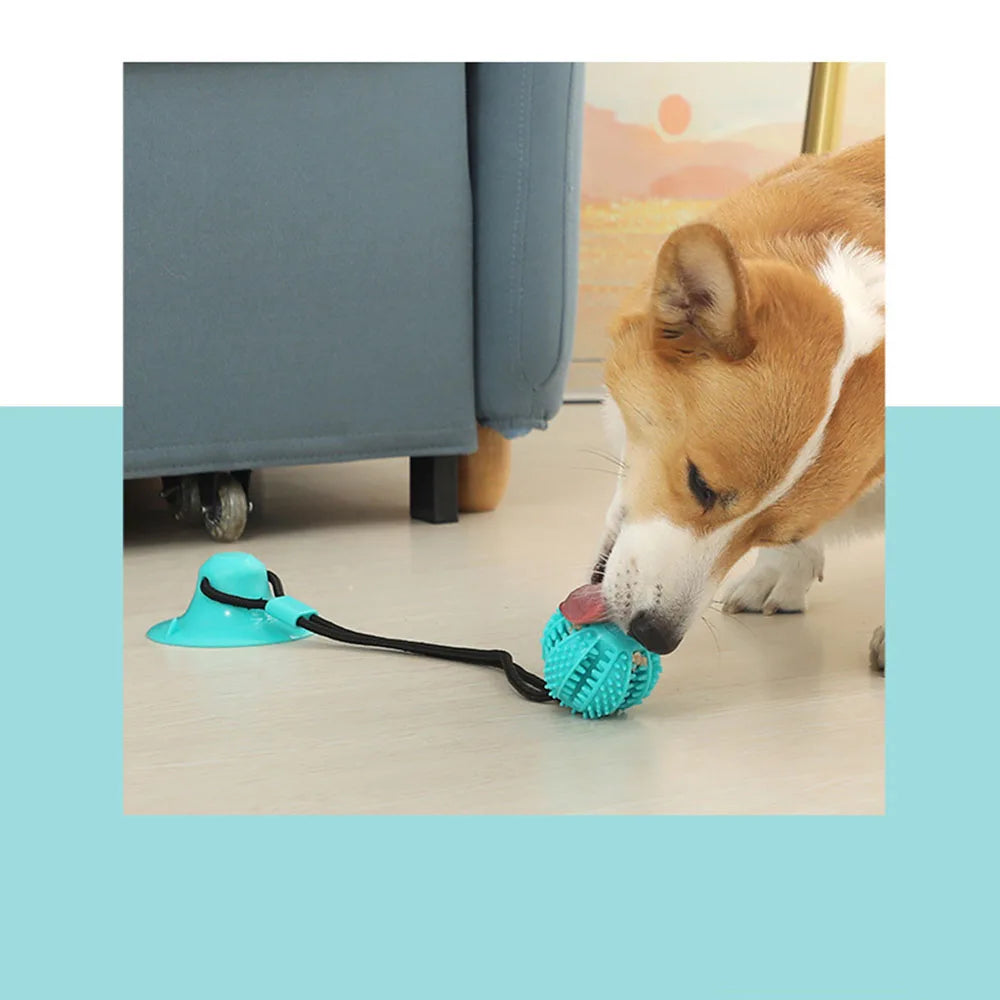 Dog Chew Ball Toys for Aggressive Chewers Interactive