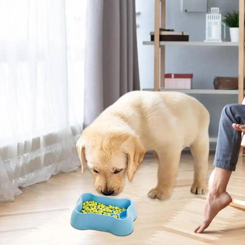 Dog Slow Feeding Bowl Silicone Anti-Choking Pet