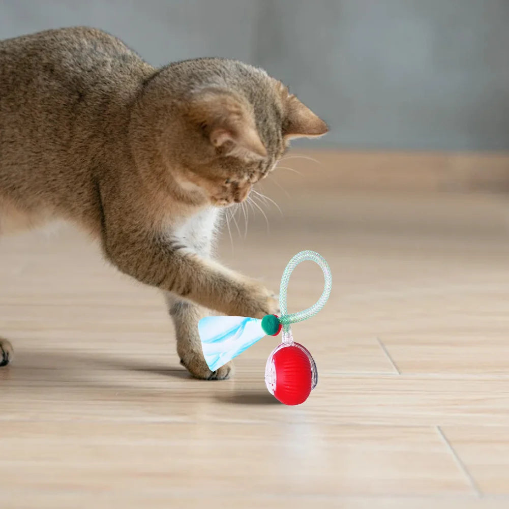 Interactive Cat Toys Ball with Elastic Mesh Tail Auto