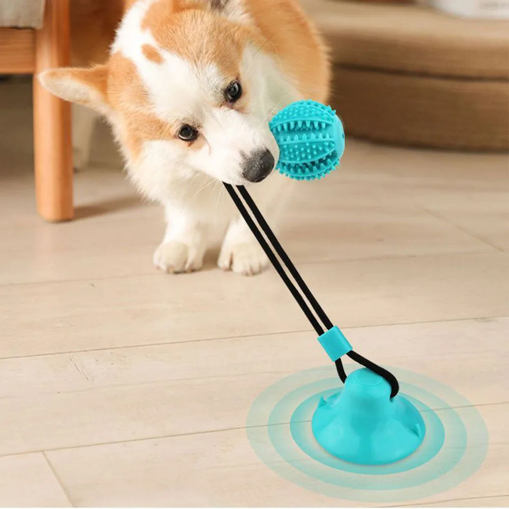 Dog Chew Ball Toys for Aggressive Chewers Interactive