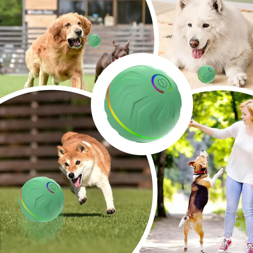 Interactive Moving Dog Toys Automatic Bouncing