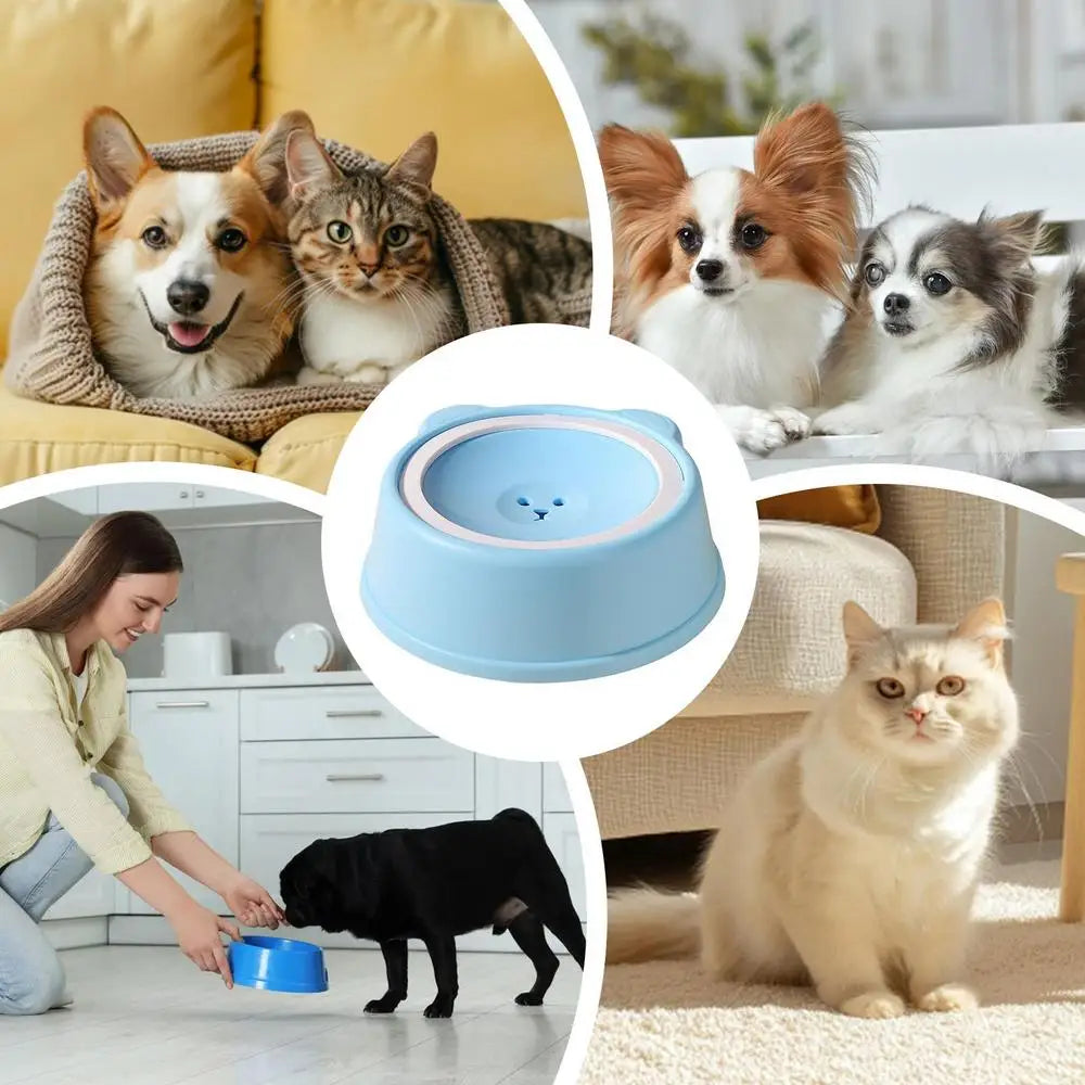 Pet Water Dish Spill-Proof Dog Bowl Slow Water