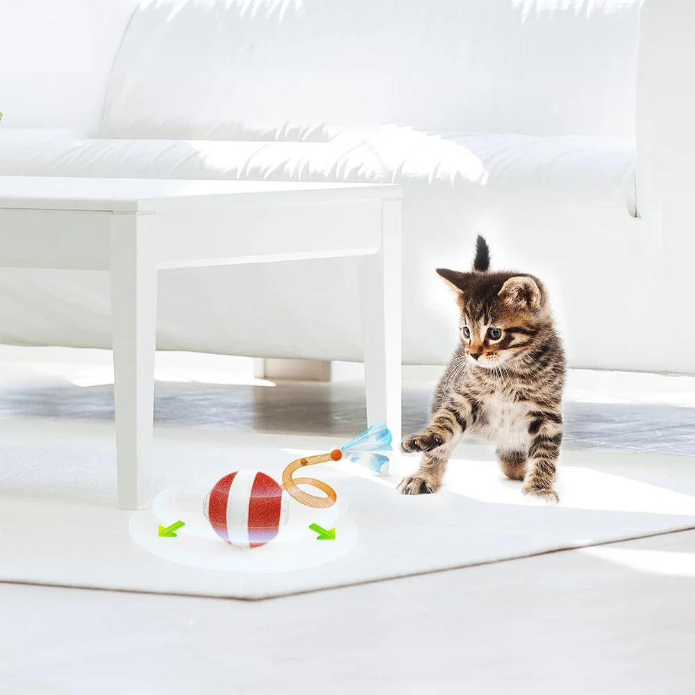 Interactive Cat Toys Ball with Elastic Mesh Tail Auto