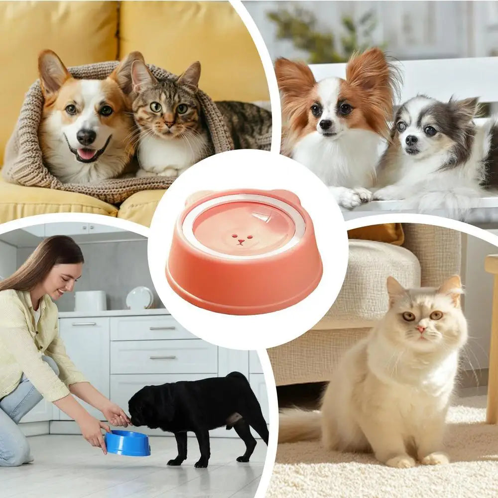 Pet Water Dish Spill-Proof Dog Bowl Slow Water