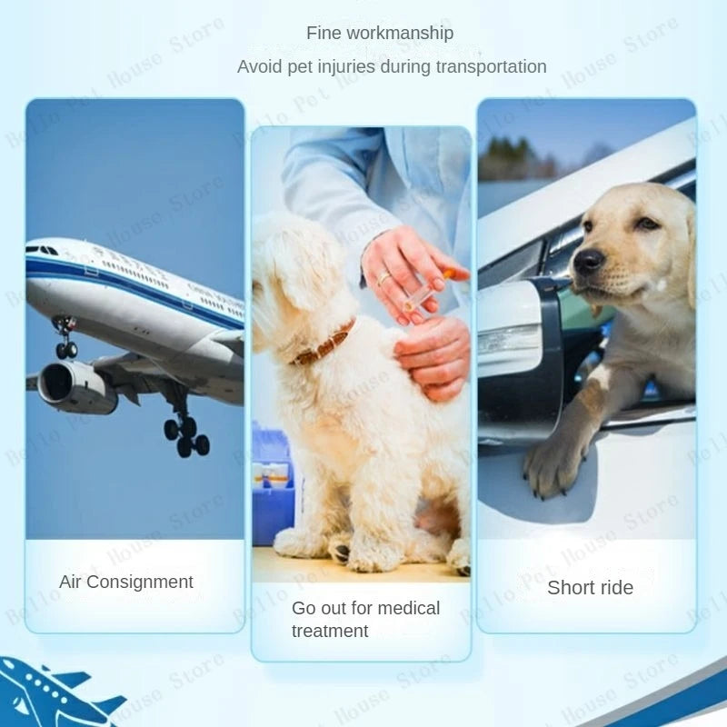 Sturdy Pet Airline Box Ventilated Dog Shipping Box