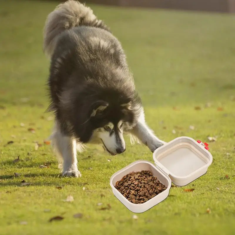 Travel Dog Water Food Bowl Folding Puppy Feeder