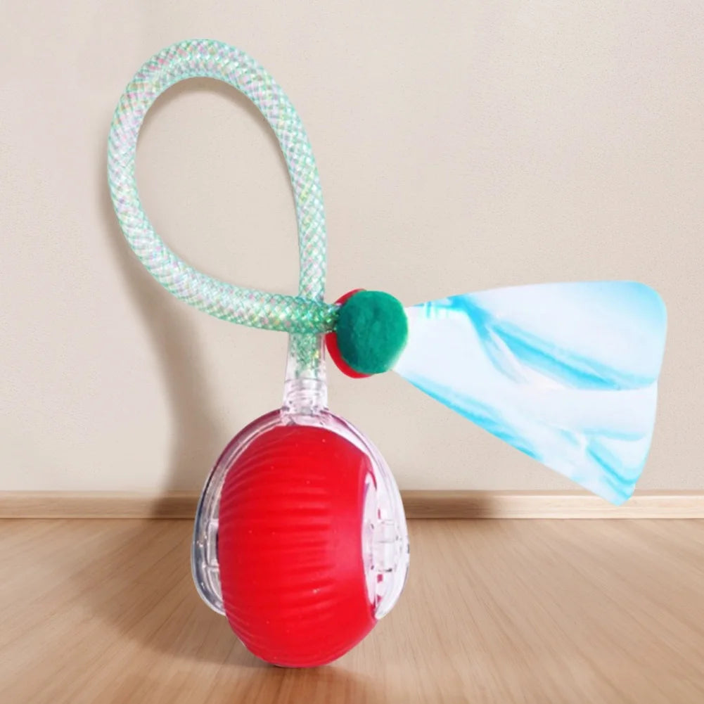 Interactive Cat Toys Ball with Elastic Mesh Tail Auto