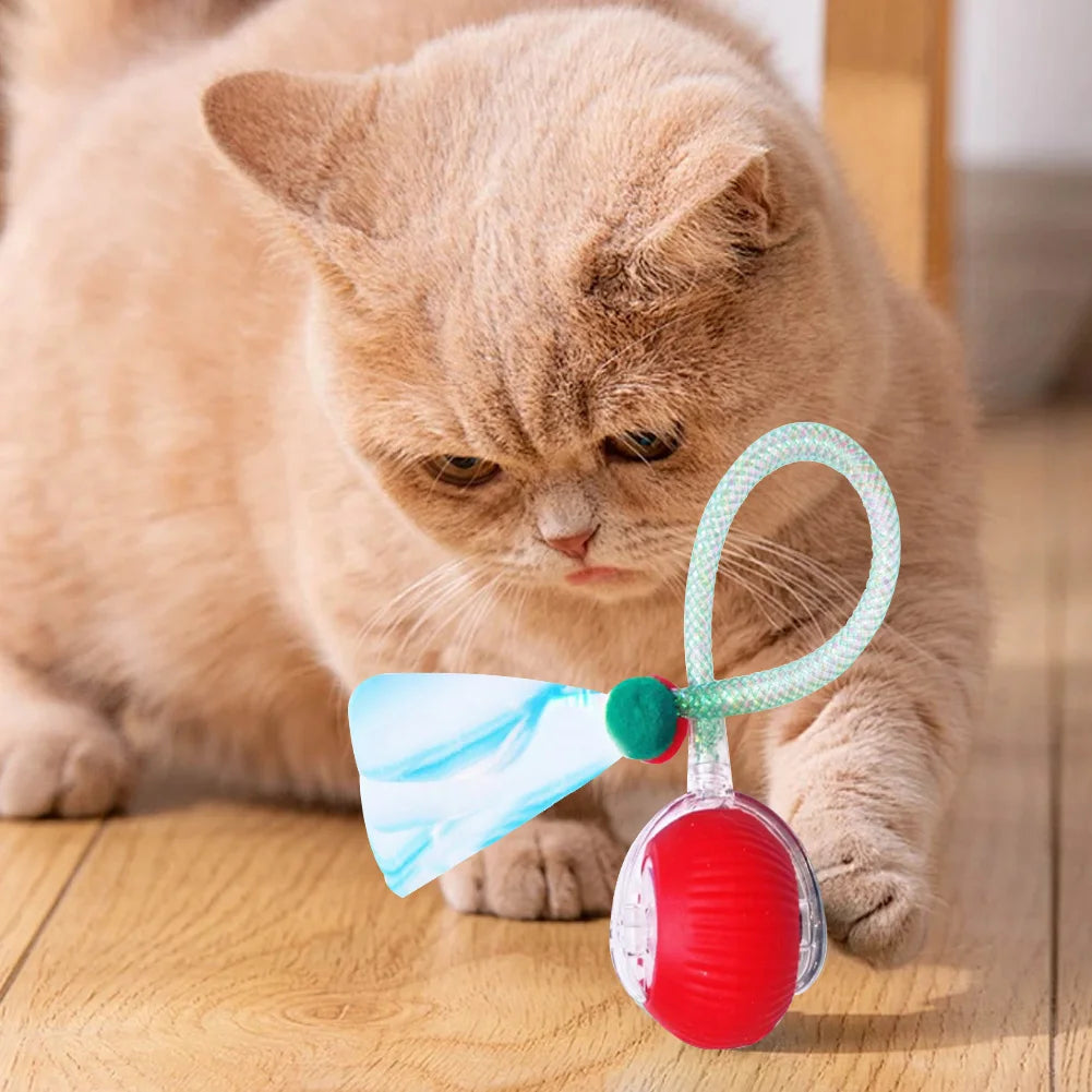 Interactive Cat Toys Ball with Elastic Mesh Tail Auto