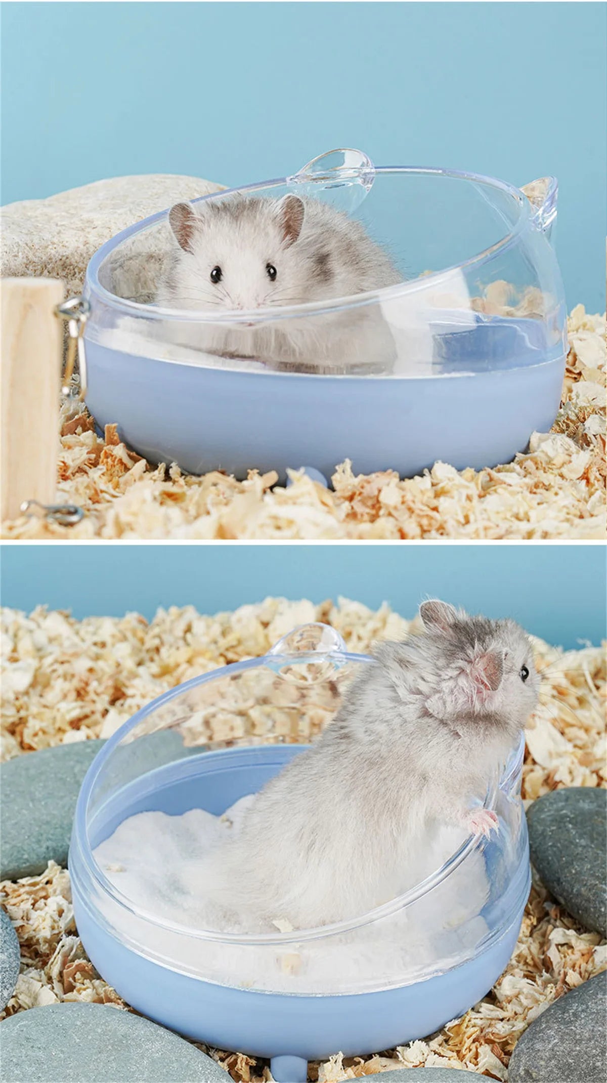 Hamster Bathroom House Sandbox Full Transparent