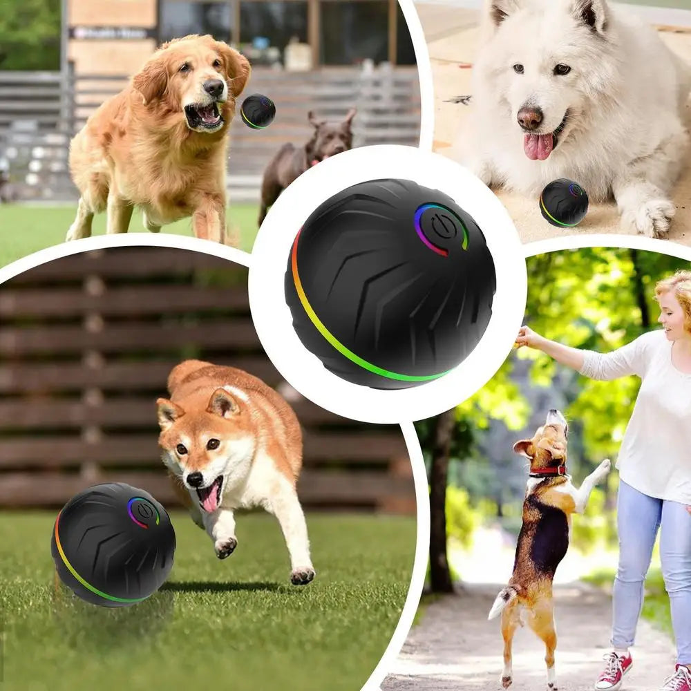 Interactive Moving Dog Toys Automatic Bouncing