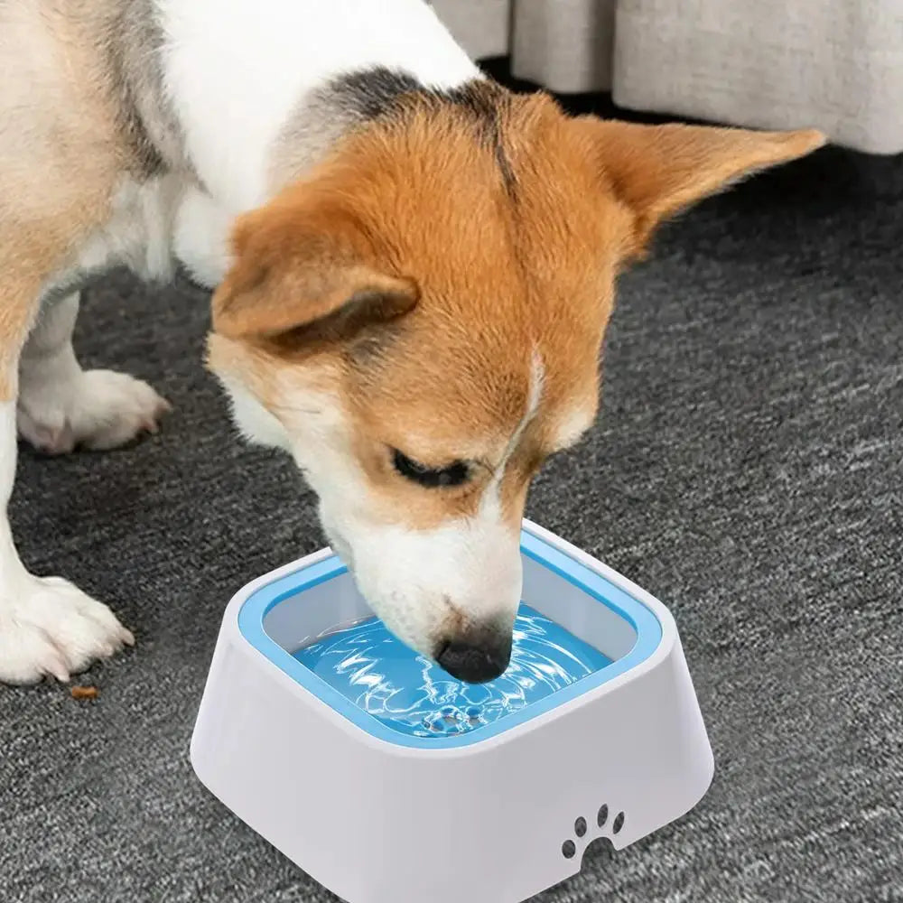 Water Bowl For Dogs No Spilling Dog Waterer Large