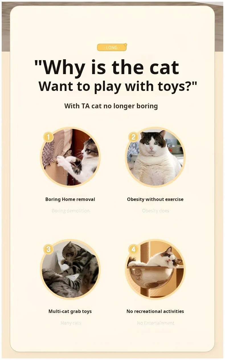 Electric Cat Toy Ball Automatic Lifting Spring Rod