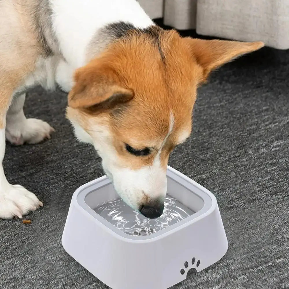 Water Bowl For Dogs No Spilling Dog Waterer Large