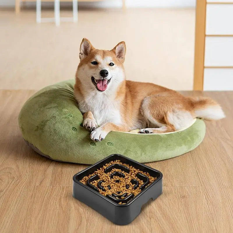 Slow Feeder Dog Bowl Anti-choking Dogs Food