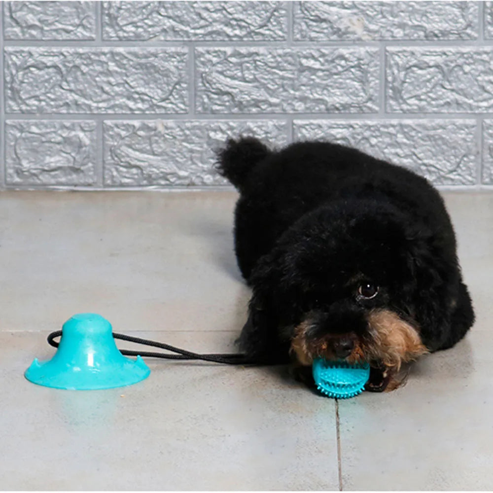 Dog Chew Ball Toys for Aggressive Chewers Interactive