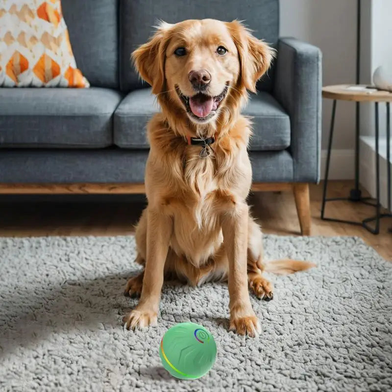 Interactive Moving Dog Toys Automatic Bouncing
