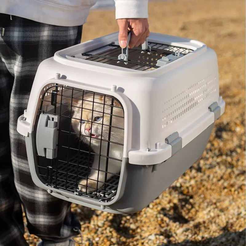 Sturdy Pet Airline Box Ventilated Dog Shipping Box