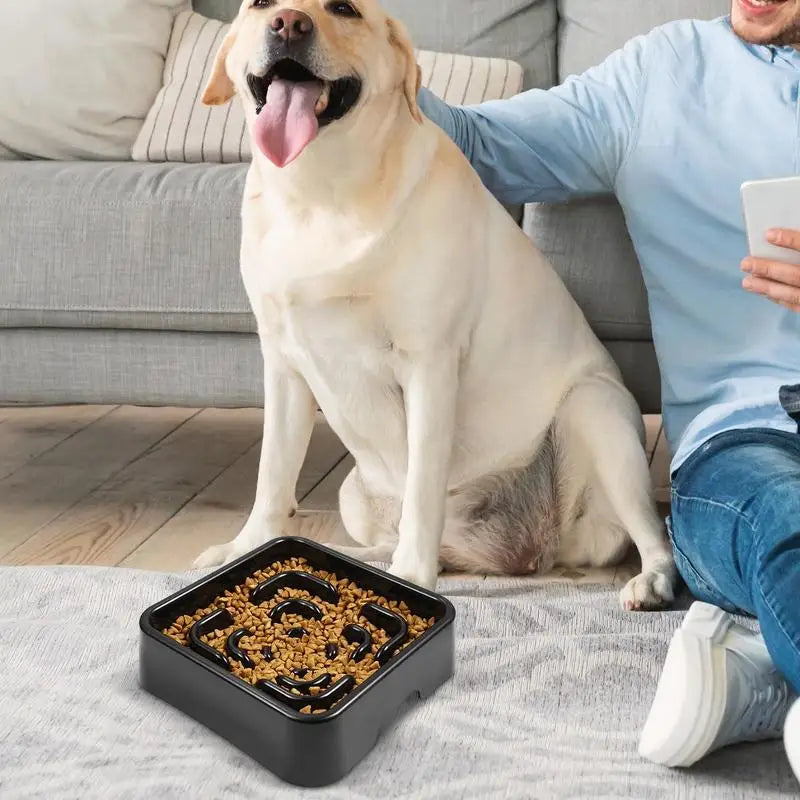 Slow Feeder Dog Bowl Anti-choking Dogs Food