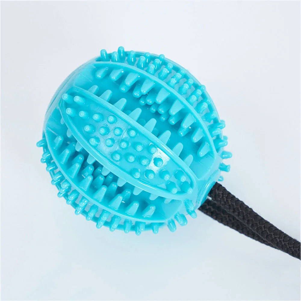 Dog Chew Ball Toys for Aggressive Chewers Interactive