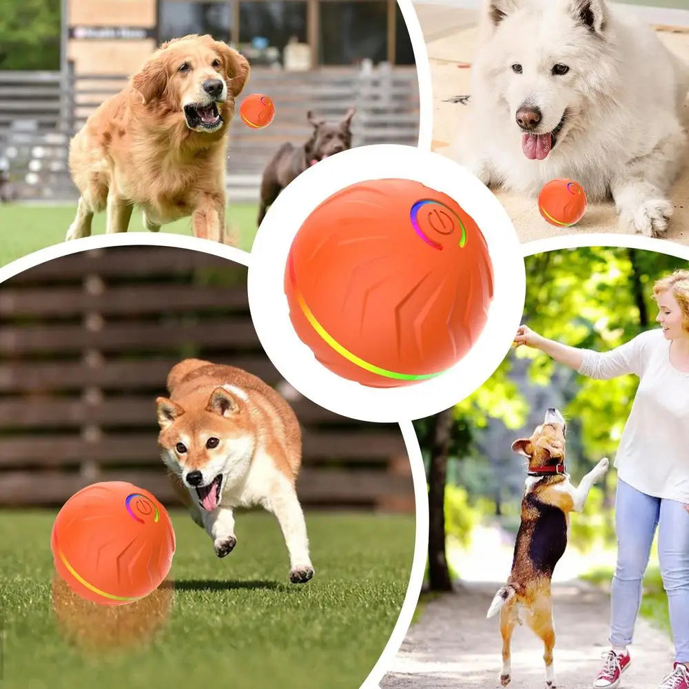 Interactive Moving Dog Toys Automatic Bouncing