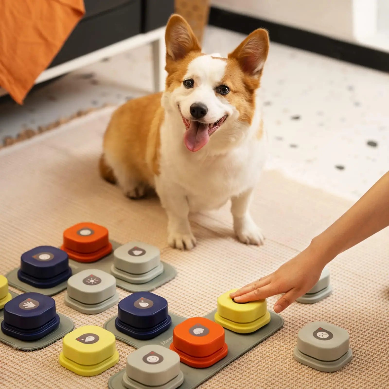 MEWOOFUN Dog Button Record Talking Pet
