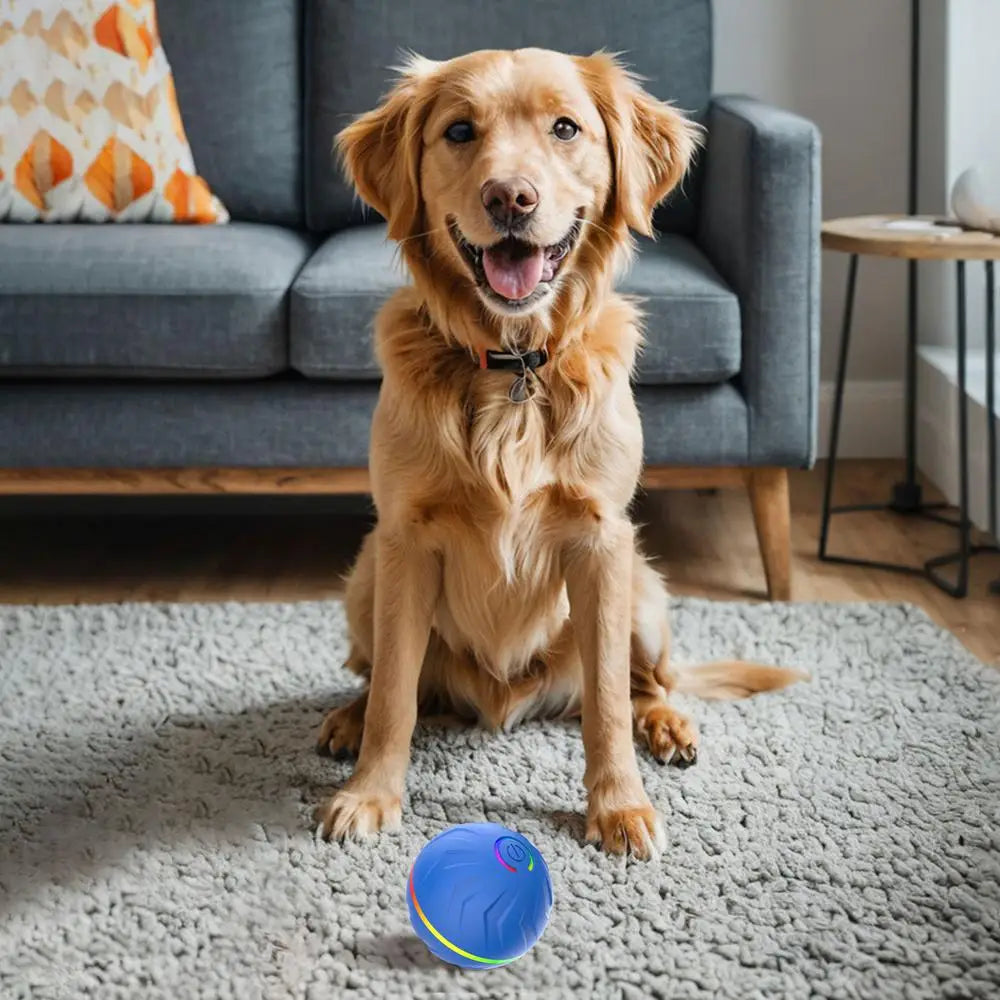 Interactive Moving Dog Toys Automatic Bouncing