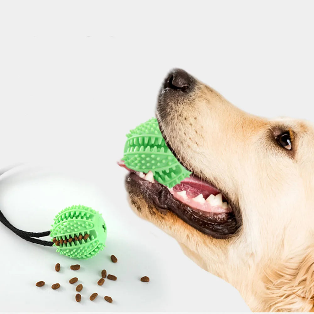 Dog Chew Ball Toys for Aggressive Chewers Interactive